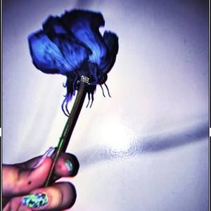 Meet your Posher, Trinity